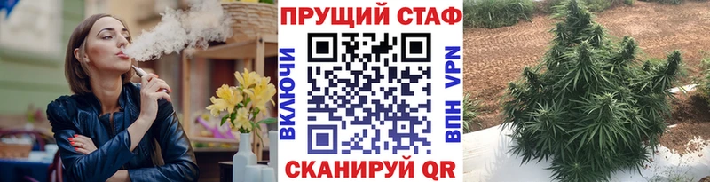 Где купить Борзя Гашиш  Конопля  Меф мяу мяу 