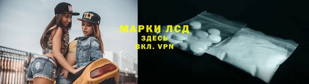 твердый Осинники