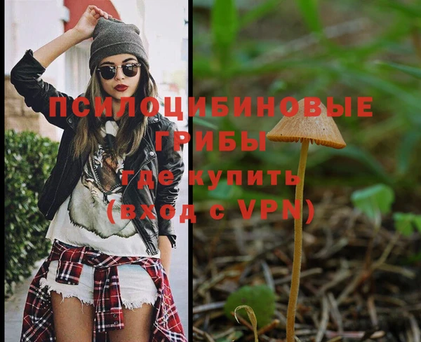 тгк Няндома