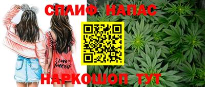 ALPHA PVP Бийск