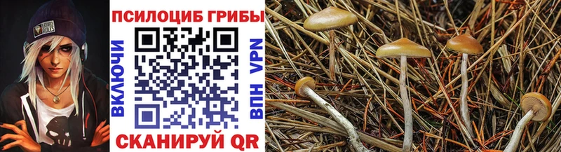 Псилоцибиновые грибы прущие грибы  Борзя 