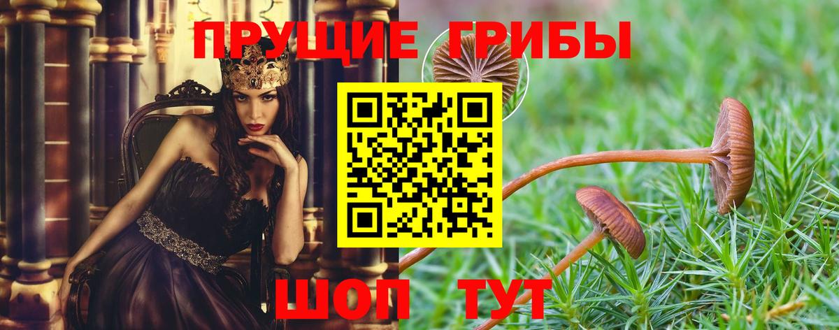 Галлюциногенные грибы Magic Shrooms  Псилоцибиновые грибы прущие грибы  Вход с VPN  Борзя 